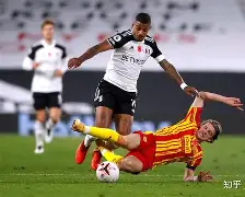 IM电竞网址-富勒姆 英超